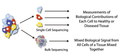 Single cell vs bulk sequencing