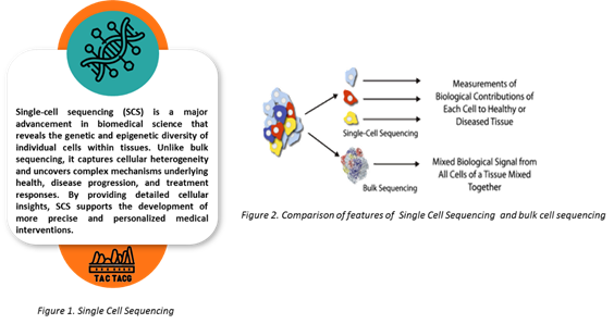 Single cell sequencing