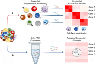 Figure 4.(A)single cell data
