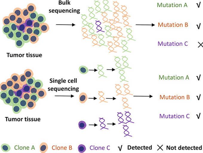 the single-cell resolution 