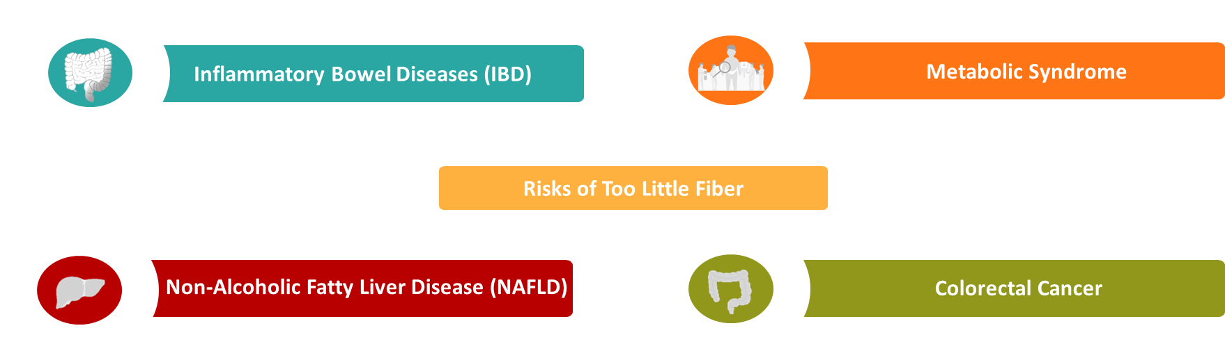 Lipid Lowering Mechanisms