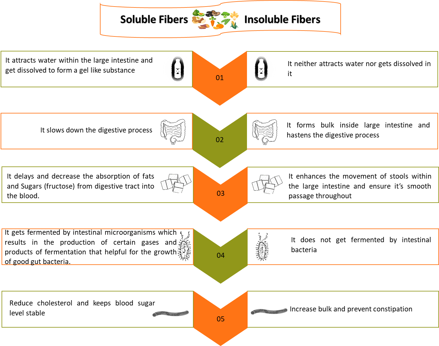 Soluble vs Insoluble Comparison