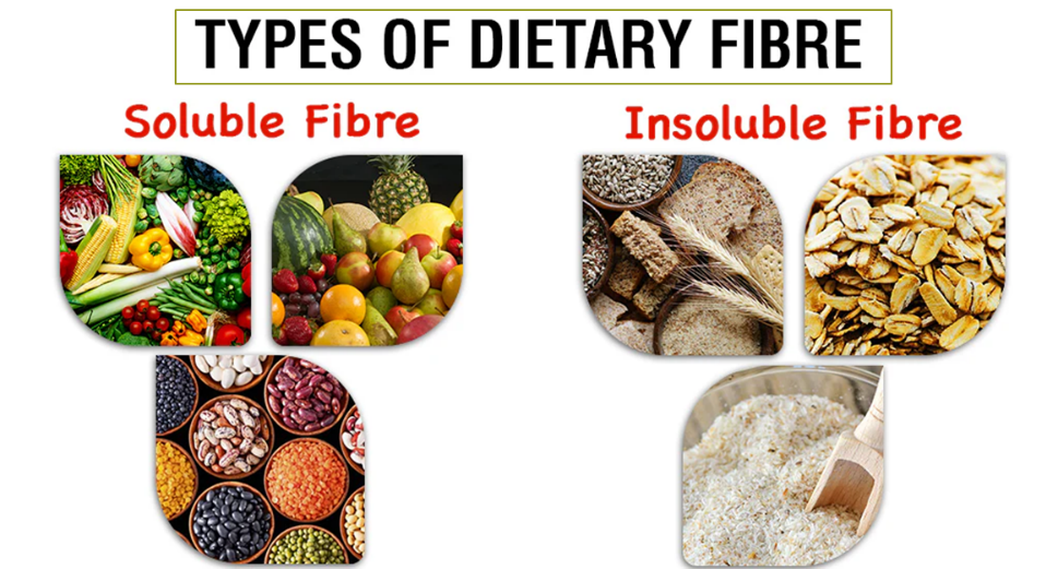 Types of Dietary Fibers