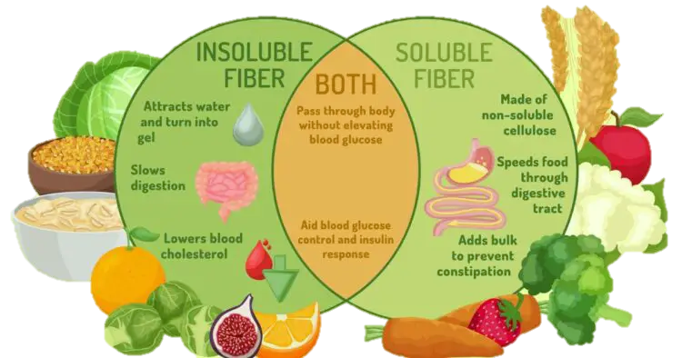 Fiber Properties