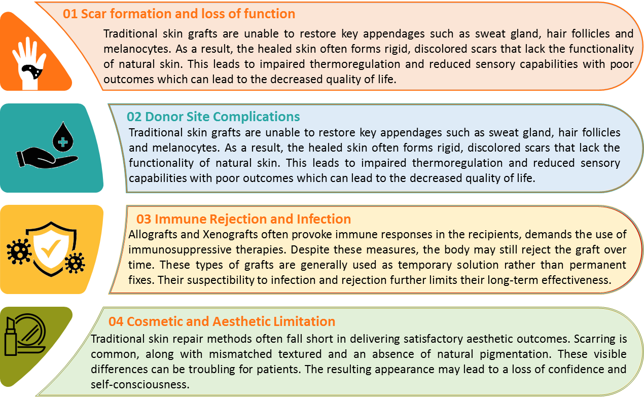 3. Future Vision and Foundational Capabilities of 6G