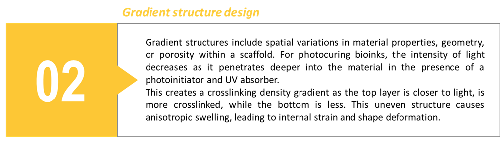 gradient-design.png